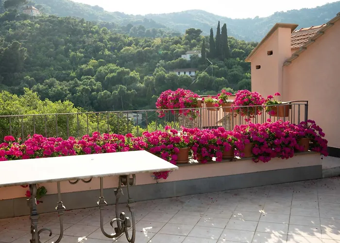 Casa Armonia 빌라 알라시오